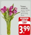 EDEKA Neckargemünd Prospekt mit  im Angebot für 3,99 €