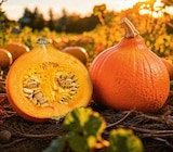 Hokkaido-Kürbis im Angebot bei Netto Marken-Discount in Schorndorf Hokkaido-Kürbis Angebote bei Netto Marken-Discount Schorndorf für 1,11 €