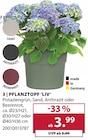 Aktuelles Pflanztopf 'LIV' Angebot bei Dehner Garten-Center in Essen ab 3,99 €