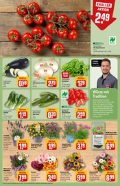 Blumen im REWE Prospekt in Rodgau Aktueller REWE Prospekt mit Blumen, "Dein Markt", Seite 7
