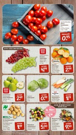 Pflanzen im nahkauf Prospekt in Kaarst Aktueller nahkauf Prospekt mit Pflanzen, "nichts liegt näher", Seite 3