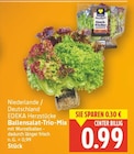E center Berlin - Ballensalat-Trio-Mix Angebot im Prospekt Ballensalat-Trio-Mix bei E center im Berlin Prospekt für 0,99 €