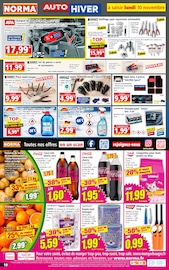 Barbecue Angebote im Prospekt "Votre Discounter Régional" von Norma auf Seite 10