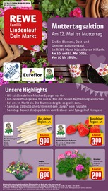 Ähnliche Angebote wie Tulpen im Prospekt "Dein Markt" auf Seite 1 von REWE in Hückelhoven