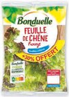 Feuille de chêne rouge - BONDUELLE dans le catalogue Super U