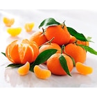 Mandarine dans le catalogue Carrefour Market