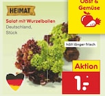 Salat mit Wurzelballen im Angebot bei Netto Marken-Discount in Koblenz Salat mit Wurzelballen Angebote von Heimat bei Netto Marken-Discount Koblenz für 1,00 €