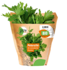 Bio-Kräuter im OBI Prospekt Bio-Kräuter von GROW by OBI im aktuellen OBI Prospekt für 2,99 €