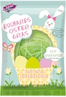 Essbares Ostergras von hoch fun food im aktuellen KiK Prospekt für 1,29 €