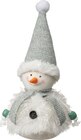 Stoffschneemann mit Strickmütze & Schal im dm-drogerie markt Prospekt Stoffschneemann mit Strickmütze & Schal von Dekorieren & Einrichten im aktuellen dm-drogerie markt Prospekt für 3,95 €