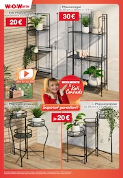 Pflanzen Angebot im aktuellen Woolworth Prospekt auf Seite 4