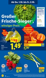 Lauchzwiebeln Angebot & Preis im aktuellen Lidl Prospekt Lauchzwiebeln Angebot im aktuellen Lidl Prospekt auf Seite 60