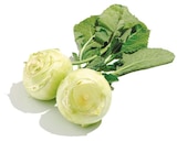 Kohlrabi im Netto mit dem Scottie Prospekt Kohlrabi im aktuellen Netto mit dem Scottie Prospekt für 0,45 €