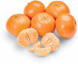 Mandarinen im aktuellen Netto Marken-Discount Prospekt