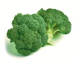 Deutscher Broccoli im Angebot bei Netto mit dem Scottie in Dresden Deutscher Broccoli Angebote von GO Regio bei Netto mit dem Scottie Dresden für 1,39 €
