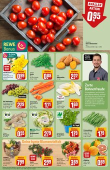 Tomaten im REWE Prospekt "Dein Markt" mit 36 Seiten (Ludwigshafen (Rhein))