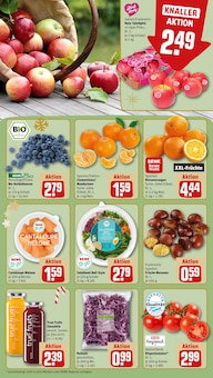 Tomaten im REWE Prospekt "Dein Markt" mit 24 Seiten (München)