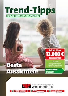 E. WERTHEIMER Prospekt Trend-Tipps für die energetische Sanierung mit 9 Seiten
