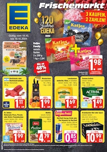 EDEKA Frischemarkt Prospekt mit 4 Seiten (Pinneberg)