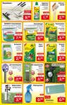 Wasserbesen Wasserbesen