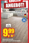 Klick-Laminat Eiche antik Angebote von ESPRIMA LOC bei Jähnke DIE WOHNRAUM-PROFIS e.K Brandenburg für 9,99 €