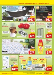 Fliegengitter im Netto Marken-Discount Prospekt in Rottenburg Aktueller Netto Marken-Discount Prospekt mit Fliegengitter, "Aktuelle Angebote", Seite 59