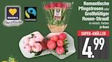Romantische Pfingstrosen im EDEKA Prospekt Romantische Pfingstrosen von EDEKA Herzstücke im aktuellen EDEKA Prospekt für 4,99 €