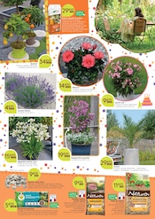 Promos Terreau dans le catalogue "20 ANS DE PASSION VÉGÉTALE" de Les Compagnons des saisons Terreau en promo dans le catalogue Les Compagnons des saisons à la page 2