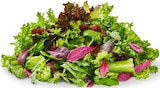 Aktuelles Deutscher mediterraner Pflücksalat Angebot bei Penny in Duisburg ab 1,00 €