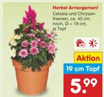Herbst Arrangement bei Netto Marken-Discount im Weyhausen Prospekt für 5,99 €