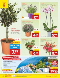 Blumenstrauß Angebot im aktuellen Netto Marken-Discount Prospekt auf Seite 40