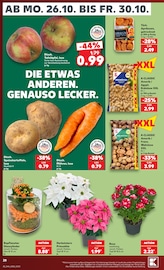 Ähnliche Zitronenbaum Angebote im Prospekt "Hier bin ich richtig" von Kaufland in Erfurt Ähnliche Angebote wie Zitronenbaum im Prospekt "Hier bin ich richtig" auf Seite 28 von Kaufland in Erfurt