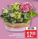 Geschenkkorb mit Hortensien & Topfrosen Angebote bei Marktkauf Filderstadt für 12,99 €