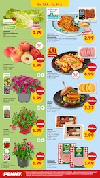 Steak Angebot & Preis im aktuellen Penny Prospekt Steak Angebot im aktuellen Penny Prospekt auf Seite 28