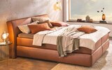 Boxspringbett „BX910“ im Segmüller Prospekt Boxspringbett „BX910“ im aktuellen Segmüller Prospekt für 3.699,00 €