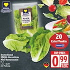 Aktuelle Gemüse Angebote bei EDEKA in Potsdam Aktuelles Mini-Romanasalat Angebot bei EDEKA in Potsdam ab 0,99 €
