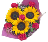 Kaufland Bottrop - Saisonstrauß Sonnenblumen Angebot im Prospekt Saisonstrauß Sonnenblumen bei Kaufland im Bottrop Prospekt für 6,99 €