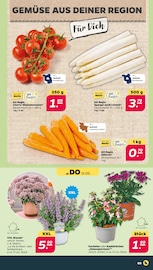weißer Spargel Angebote im Prospekt "Günstig. Besser. Für Dich." von Netto mit dem Scottie weißer Spargel Angebote im Prospekt "Günstig. Besser. Für Dich." von Netto mit dem Scottie auf Seite 3