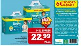 Pampers baby-dry Angebote von Pampers bei Marktkauf Plauen für 22,99 €