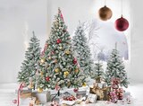 Weihnachtsbaum SNOWY PINE von  im aktuellen Trends Prospekt für 3,60 €