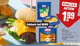 Snack Würfel im Angebot bei REWE in Bergisch Gladbach Snack Würfel Angebote von Kraft bei REWE Bergisch Gladbach für 1,99 €