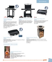 Plancha Électrique Angebote im Prospekt "DESTINATION JARDIN" von Jardiland Plancha Électrique Angebote im Prospekt "DESTINATION JARDIN" von Jardiland auf Seite 75