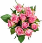 Moosrosen im Angebot bei Netto Marken-Discount in Greifswald Moosrosen Angebote bei Netto Marken-Discount Greifswald für 3,50 €