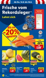 Wassermelone Angebot & Preis im aktuellen Lidl Prospekt Wassermelone Angebot im aktuellen Lidl Prospekt auf Seite 62