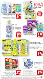WC im EDEKA Prospekt in Lörrach Aktueller EDEKA Prospekt mit WC, "Aktuelle Angebote", Seite 37
