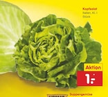 Kopfsalat im Angebot bei Netto Marken-Discount in Bergisch Gladbach Kopfsalat Angebote bei Netto Marken-Discount Bergisch Gladbach für 1,00 €