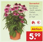 Sonnenhut im Angebot bei Netto Marken-Discount in Frankenthal Sonnenhut Angebote bei Netto Marken-Discount Frankenthal für 5,99 €