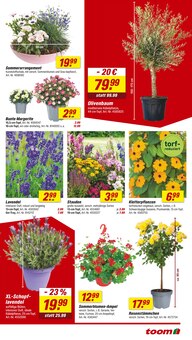 Blumen im toom Baumarkt Prospekt "Respekt, wer's selber macht." mit 24 Seiten (Osnabrück)
