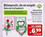Baustein-Blumen-Set "Blütentraum" im Angebot bei Marktkauf in Erlangen Baustein-Blumen-Set "Blütentraum" Angebote von Triton-X bei Marktkauf Erlangen für 6,99 €