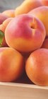 Promo Abricot à 3,39 € dans le catalogue Carrefour Market ""